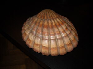 Trofeul Mamaia'88 care a aparținut lui Florin Apostol!